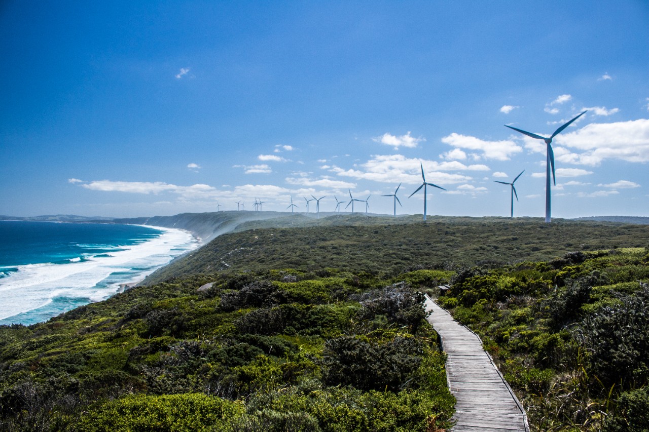 Wind turbines near ocean